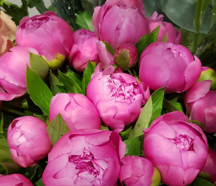 Introducing our Florist's Choice Friday Flower Delivery Service