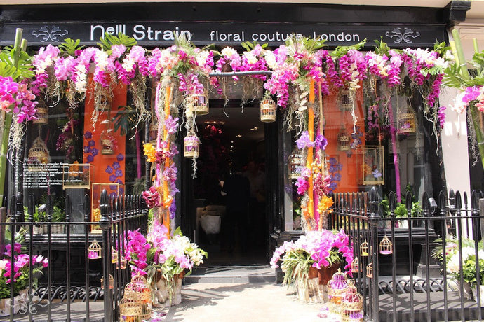 Belgravia in Bloom with Orchids