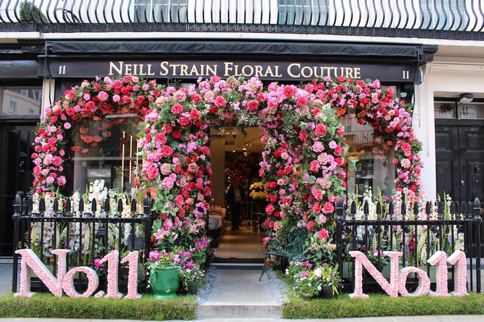 Belgravia In Bloom at No. 11
