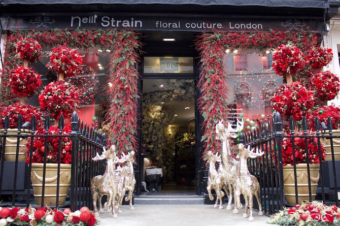 Visit Our Belgravia Christmas Window Display