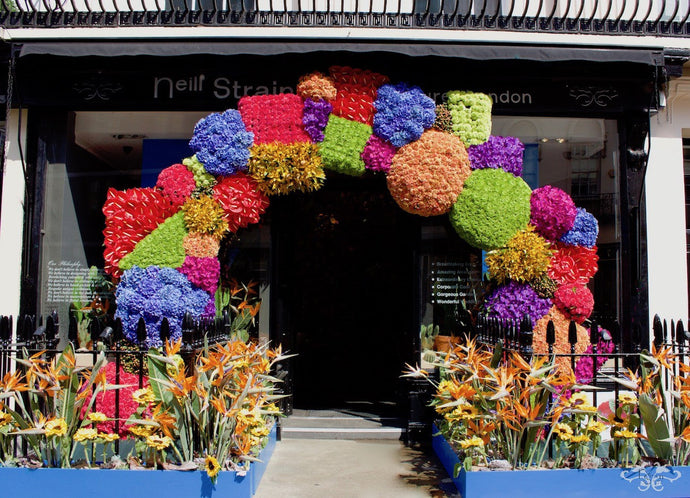 Frida Kahlo Inspires Belgravia in Bloom
