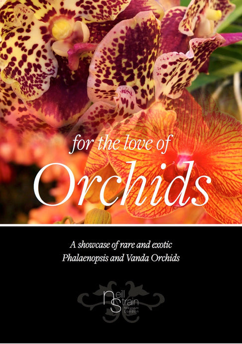 for the love of ORCHIDS