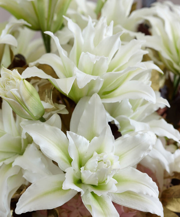 Why Fragrant Flowers Are So Special