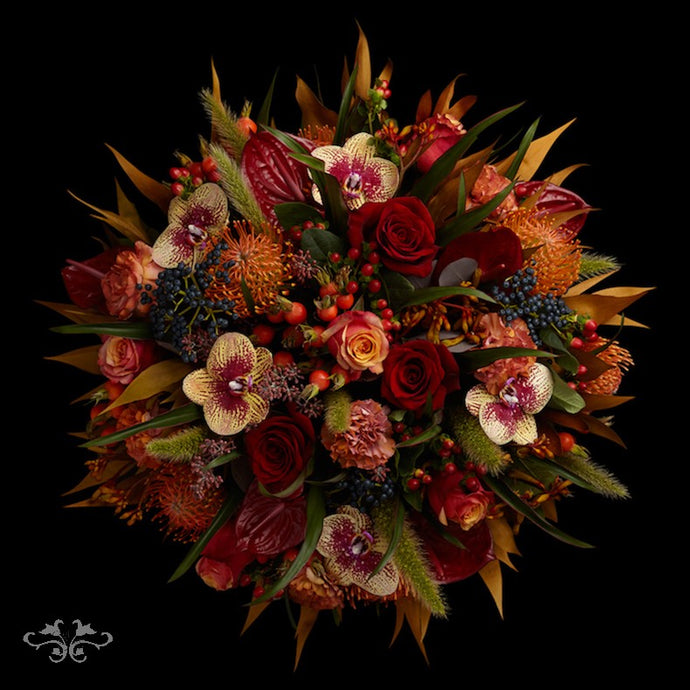 Introducing our new Autumn Collection for online ordering