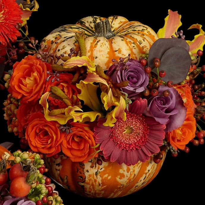 Gourds, Pumpkins and Autumn Treasures