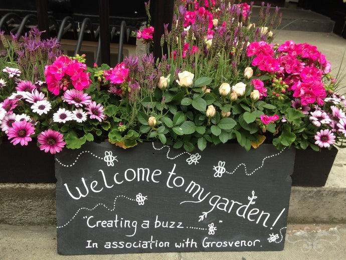 Creating a Buzz in Belgravia