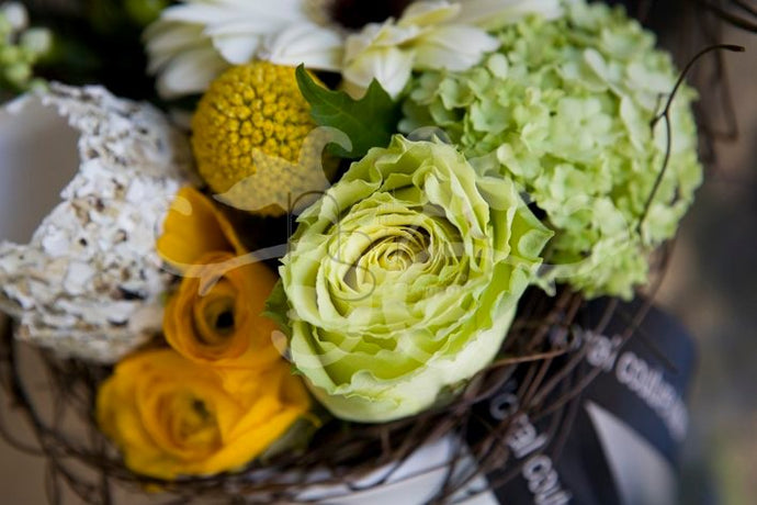 Inspirations for Easter