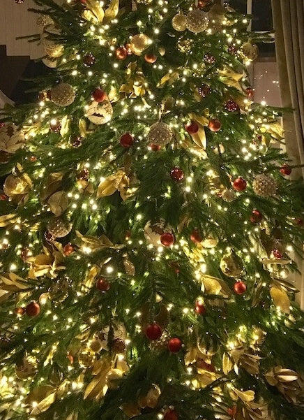 Where to find the best Christmas Trees and Christmas Tree Decorations in Belgravia