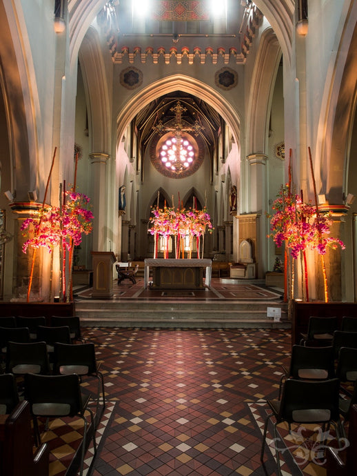 A Floral Installation: how flowers create atmosphere and emotion
