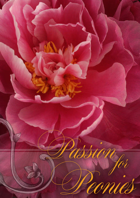 Passion for Peonies