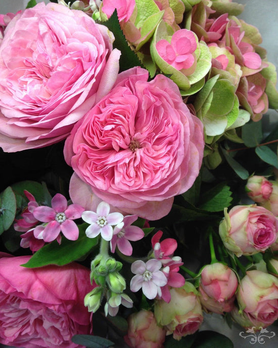 Why the Month of March is Wonderful for Women