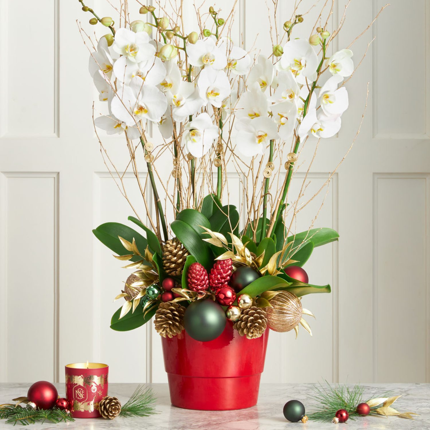 'Merry & Bright' Phalaenopsis Orchid Planter