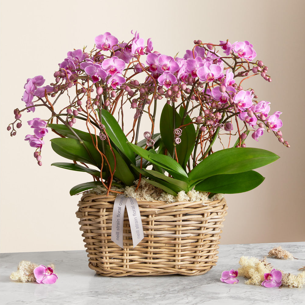 Mother's Day Basket Planter