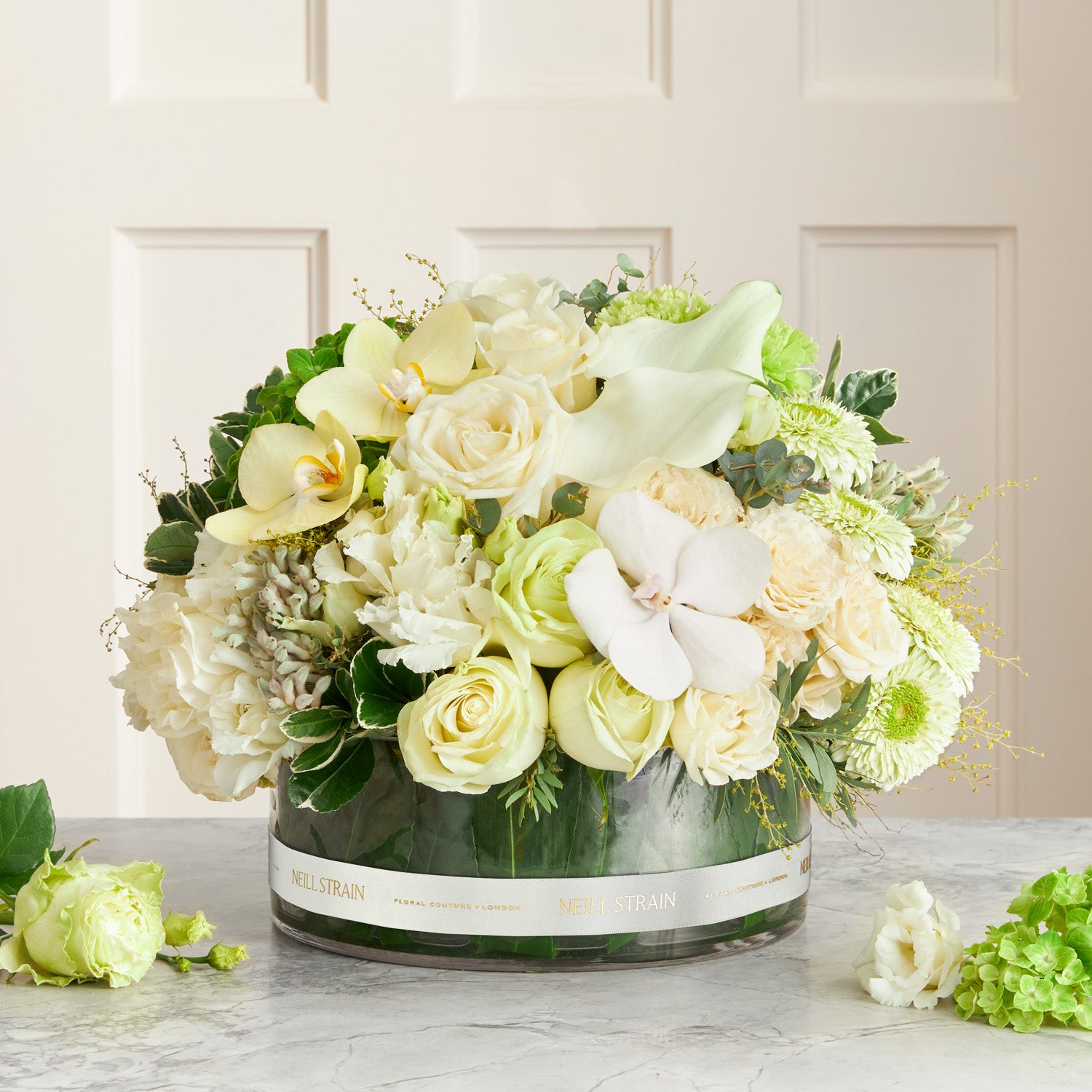 Florist's Choice Phalaenopsis Orchid Planters | Orchids London
