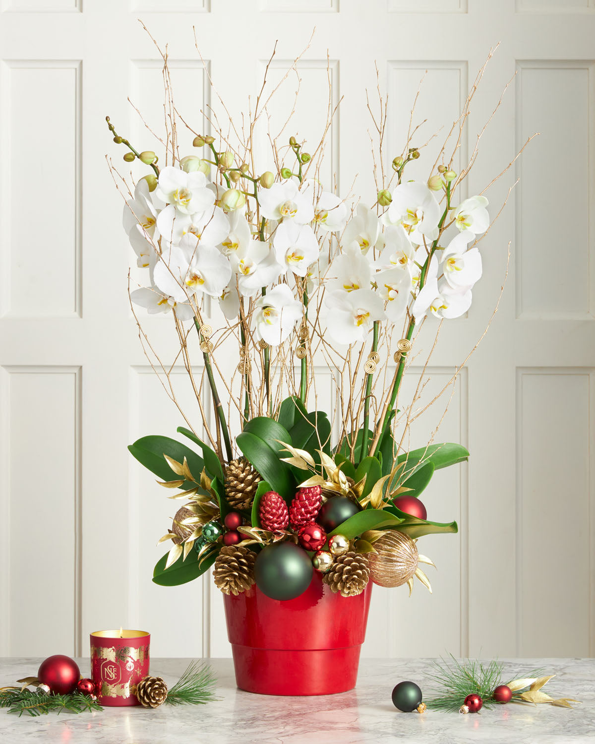 'Merry & Bright' Phalaenopsis Orchid Planter